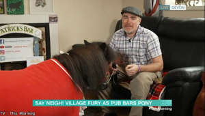 This Morning chaos after owner of Patrick the Pony who is mayor of Cockington breaks into song
