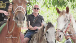 Horrende Preise für Karibik-Tour auf abgemagerten Pferden