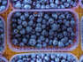 Love Fresh Berries showcase their blueberries in promo film
