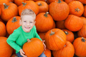 Pick the Perfect Pumpkin at These Stateline Pumpkin Patches