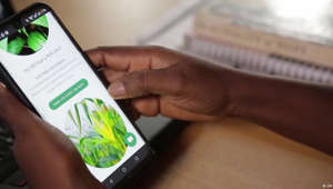 Como o telefone está a revolucionar a agricultura na Nigéria