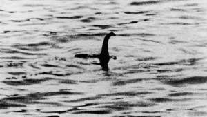 The Loch Ness Monster has been spotted on vacation in Somerset, England. Visitors to the seaside town of Clevedon spotted a sea creature paddling in the water next to the area's Victorian pier and pointed out that it had a striking resemblance to the mythical Scottish monster. Anna Purse and her six-year-old daughter Grace caught a glimpse of the 'monster' floating in the sea. She told the Metro newspaper: "Myself and Grace were sitting on one of the benches before the pier. The shape was right next to the pier and I noticed it moving. "It moved all the way along the sea in front of us while we were sat there. Grace said it looked like a sea monster, just the shape of it reminded me of Nessie."