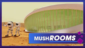 Future astronauts might one day live in habitats that were fabricated with fungus.

The revolutionary concept called Myco-architecture explores the impressive properties of fungal mycelium which is, in some ways, stronger than reinforced concrete and is capable of growing and repairing itself.

NASA 360 takes a look at the NASA Innovative Advanced Concept (NIAC) known as Myco-architecture, a revolutionary approach to construction that could one day be used to build habitats on other planets.

To watch the in-depth presentation about his topic please visit the 2018 NIAC Symposium Livestream site: https://bit.ly/2MbxCvz

Video Image Credits: redhouse studio