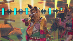 Das Känguru performt "Blurred Lines" von Robin Thicke