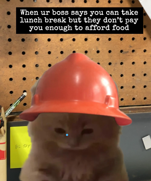 7 Meme Istirahat Makan Siang yang Menghibur di Tempat Kerja 7 meme istirahat makan