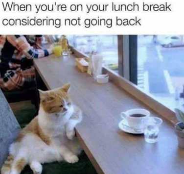 7 Meme Istirahat Makan Siang yang Menghibur di Tempat Kerja 2 meme istirahat makan