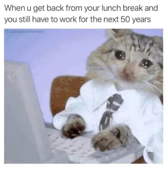 7 Meme Istirahat Makan Siang yang Menghibur di Tempat Kerja 6 meme istirahat makan