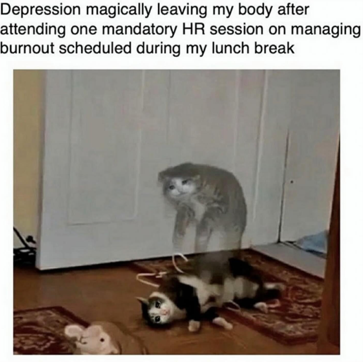 7 Meme Istirahat Makan Siang yang Menghibur di Tempat Kerja 5 meme istirahat makan