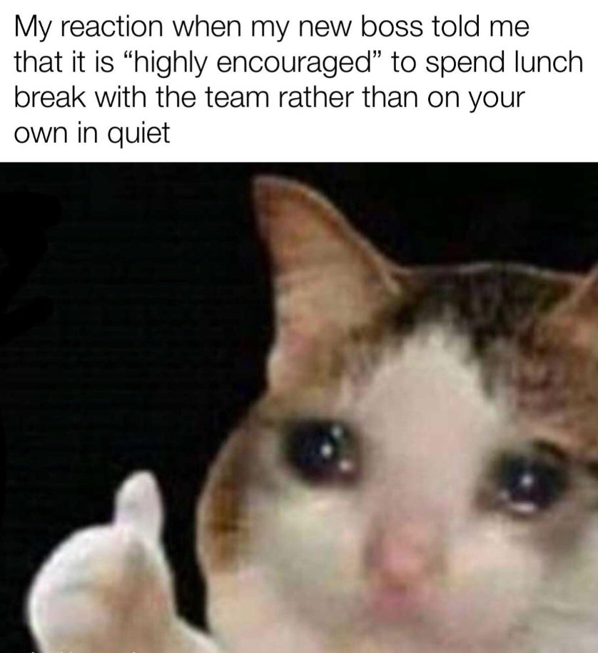 7 Meme Istirahat Makan Siang yang Menghibur di Tempat Kerja 3 meme istirahat makan