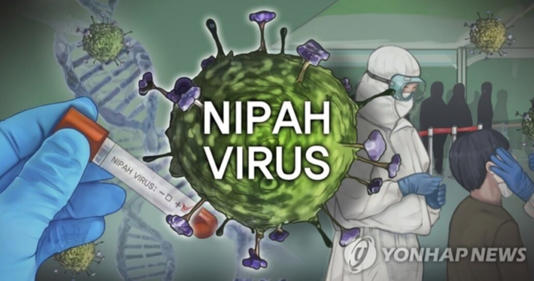 니파바이러스 / 출처 : 연합뉴스