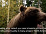 What To Do If You Meet A Bear In The Wilderness