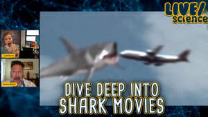 Shark Movie Deep Dive