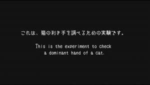 猫の効き手を調べる実験映像です。This is the experiment video to check a dominant hand of a cat.
Maru&Hana's instagram: https://www.instagram.com/maruhanamogu/