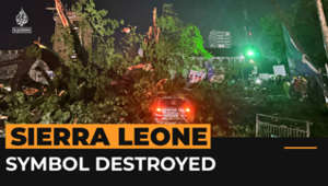 Sierra Leone’s ‘national symbol’ Cotton Tree destroyed in storm