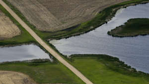 Supreme Court Limits Regulation of Some US Wetlands