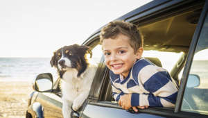 Cheddar Paws: Preparing for a Road Trip With Your Dog