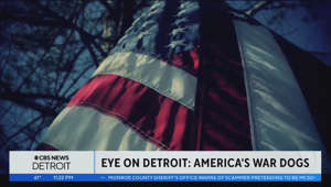 Eye on Detroit: America's War Dogs