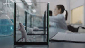Wann kommt der Ausstieg aus Tierversuchen bei Pharma-Konzern Merck?