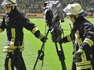 Bienenschwarm auf Scheinwerfer und Kamera: Feuerwehr-Einsatz beim BVB