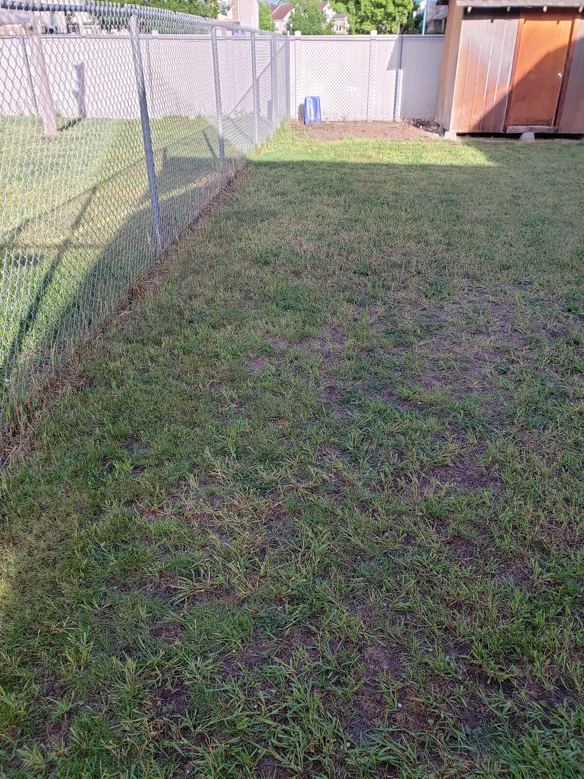City Of Phoenix Grass Removal Rebate
