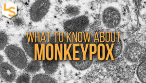 Monkeypox Explainer