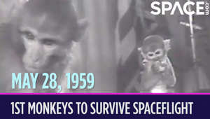 OTD in Space – May 28: Able & Baker Become 1st Monkeys to Survive Spaceflight