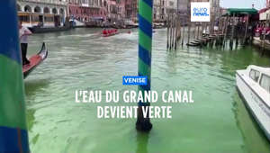 Un tronçon du Grand Canal de Venise a viré au vert fluorescent dimanche, ce qui a incité la police à mener une enquête en pleine spéculation sur une action de militants écologistes.