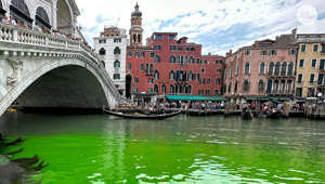 Investigation underway after Venice's Grand Canal mysteriously turns fluorescent green