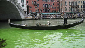 En video: Una mancha verde fluorescente invade el gran canal de Venecia