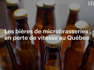 Les bières de microbrasseries en perte de vitesse au Québec