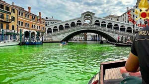 Grüner Canal Grande in Venedig: Was steckt dahinter?