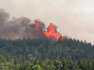 75 homes evacuated Sunday as forest fire burns near Saint Andrews