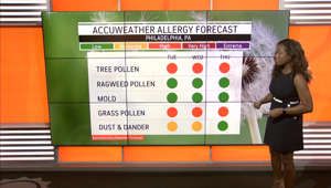 Here's your allergy outlook for May 29