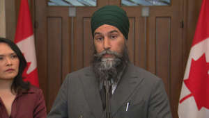 Singh explains motion calling on David Johnston to step down
