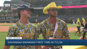Savannah Bananas Live