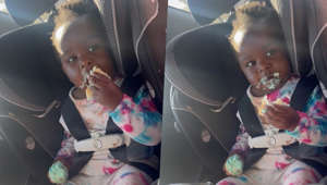 A mom got a sweet surprise when she discovered her baby daughter had broken into a box of cupcakes and started eating them while in the back seat of her car. Michelle Miller, from San Diego, California, was at her local Walmart with baby Malayvia on May 8, when her daughter spotted some tasty cupcakes which she took a liking to. As they were going to meet Malayvia’s cousins later, Michelle, 26, purchased the cupcakes for the children, which she packed onto the back seat of her car. By the time Michelle had packed up the car and quickly returned her cart, she went to finish buckling her daughter up and discovered the carnage 14-month-old Malayvia had caused. Having broken into the cupcakes, she also started to eat them and – with half-eaten cupcakes in each hand – was getting food all over her face.