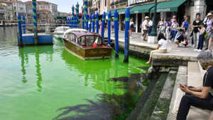 Venice’s Grand Canal turned green — and no one knows why