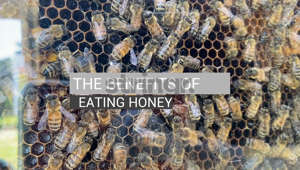 Sure, honey tastes great. But is it good for you?