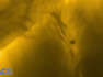 Amazing Solar Orbiter Views Of Mercury Transiting The Sun