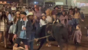 Bull charges into crowd at rodeo event