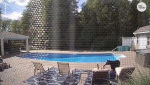 Man taking poolside nap wakes up to curious bear inches from his feet