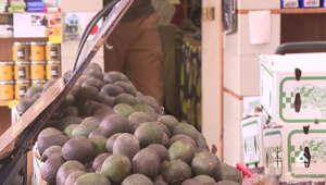 Rainy start to 2023 brings mixed impacts to local avocado growers