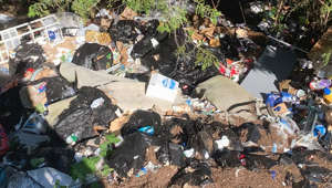 Equipe de remoção de lixo descobre pilha de lixo no quintal de mansão no Canadá