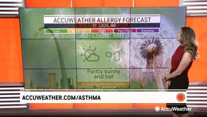 AccuWeather's Ariella Scalese breaks down the allergy outlook for the most affected regions of the United States for May 31.