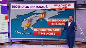 Por esta razón los incendios forestales en Canadá impactan la calidad del aire en EE.UU.
