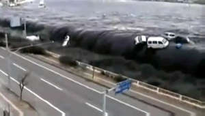 Japan prepares to release treated radioactive water from Fukushima nuclear disaster into sea