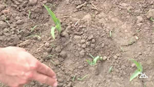 Berlin farmer concerned for crops amid drought
