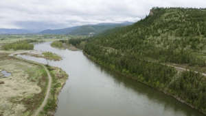 Restoration of the Clark Fork River