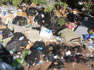 Equipo de recolección de basura descubre un basurero en el patio trasero de una mansión