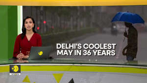 Delhi experiences coolest May in 36 years | WION Climate Tracker